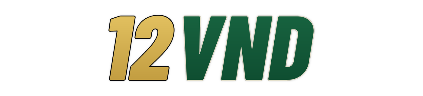 12vnd logo